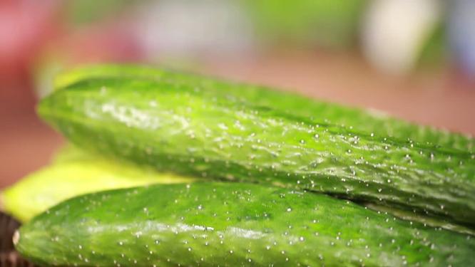 【镜头合集】有机蔬菜鲜嫩黄瓜
