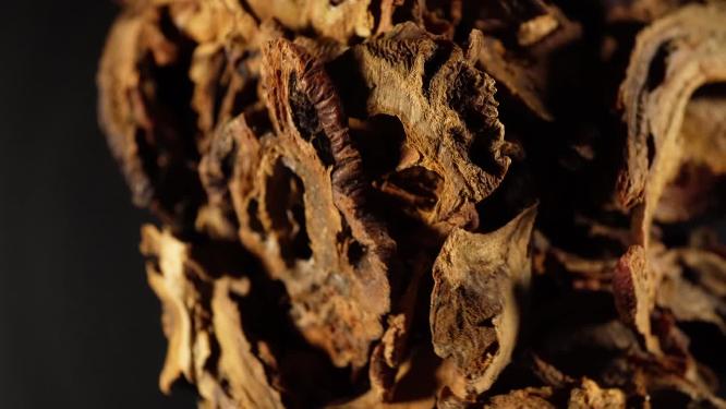 【镜头合集】木瓜中药中草药中医药材