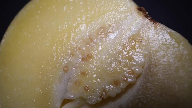 果肉果瓤云南石林人参果
