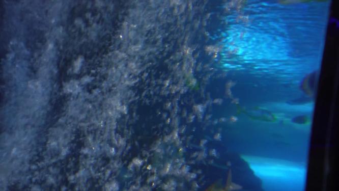 海底气泡水下世界海洋神秘