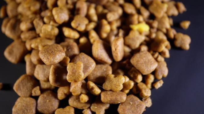 猫粮狗粮宠物食品