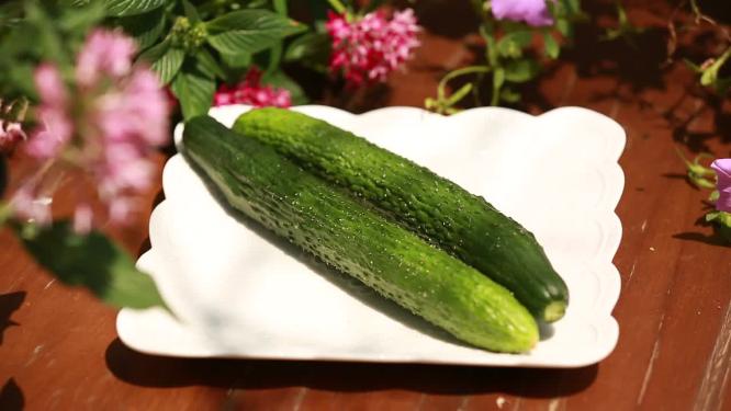【镜头合集】瘦身蔬菜秋黄瓜切黄瓜