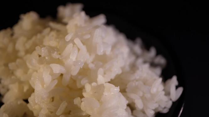 米饭水稻主食大米