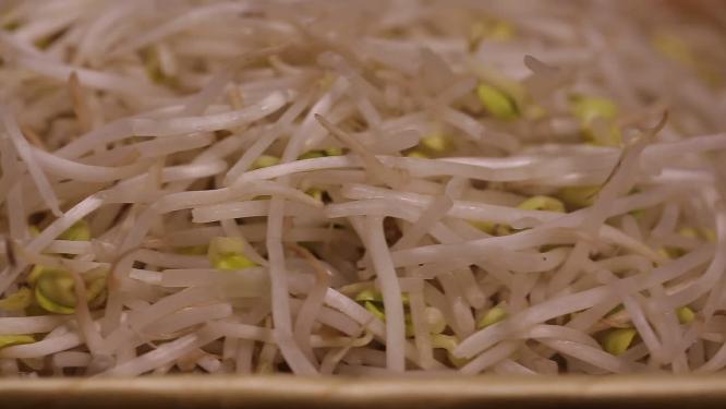 绿豆芽嫩豆芽