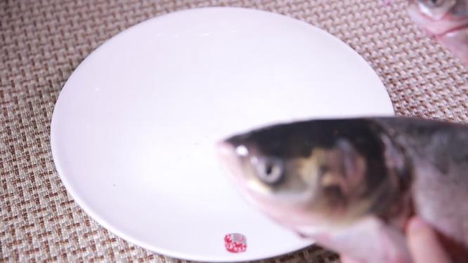 【镜头合集】胖头鱼鱼头