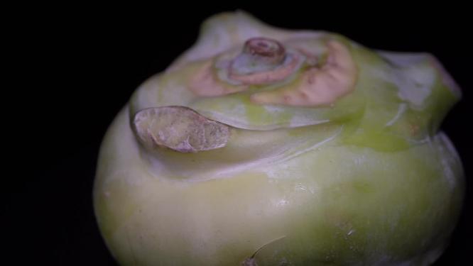 【镜头合集】芥兰头青苤蓝苤蓝疙瘩大头菜腌菜