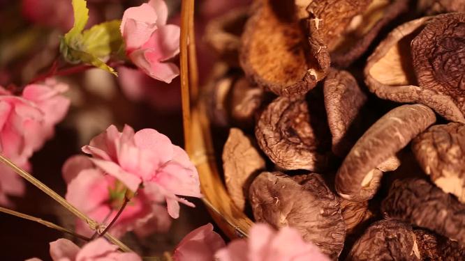 【镜头合集】蘑菇香菇水发香菇