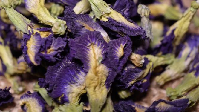 蝶豆花花青素代茶饮花草茶