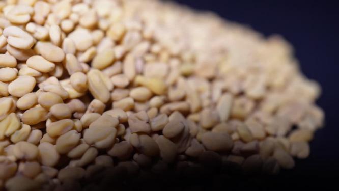 【镜头合集】裤兜子芥末籽香料调料卤肉食材调味料