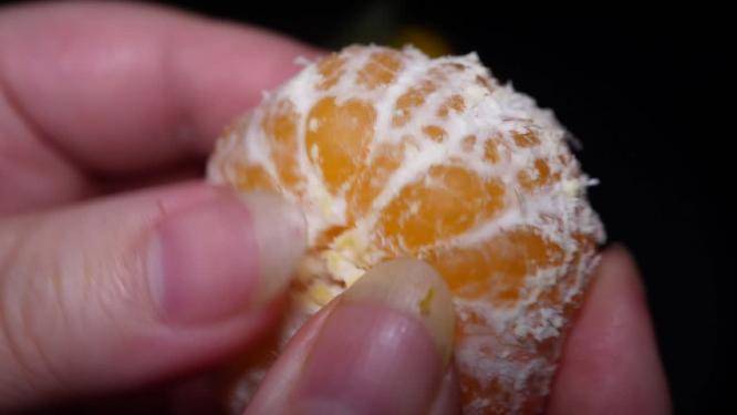 剥开的水果砂糖橘青皮蜜橘