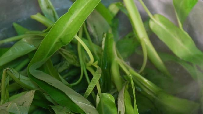 处理空心菜煮制空心菜洗菜青菜