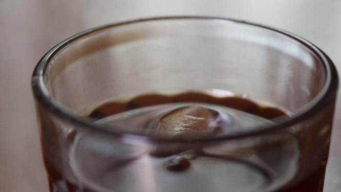 沏茶泡茶喝茶普洱茶红茶