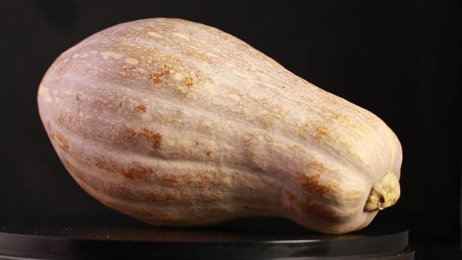 粗粮贝贝南瓜切块