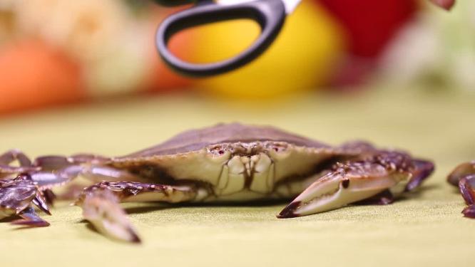 螃蟹梭子蟹飞蟹