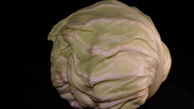 大头菜嘎达白圆白菜