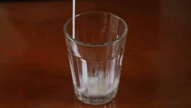 沏茶泡茶喝茶普洱茶红茶