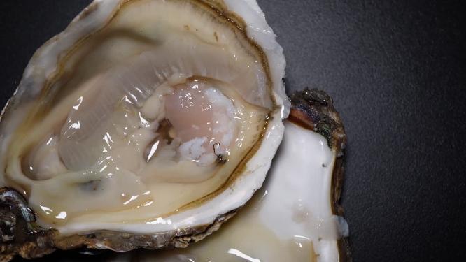 海蛎子打开的生蚝牡蛎海洋牛奶