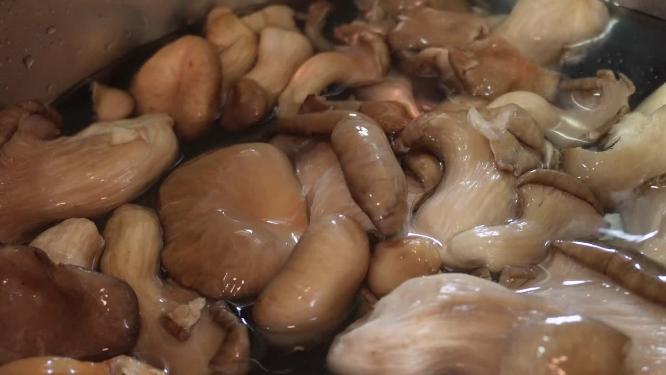 清洗秀珍菇蘑菇平菇菌菇