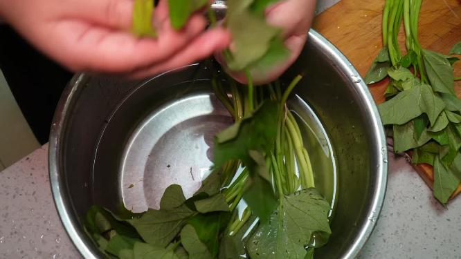 清洗红薯苗白薯秧野菜蔬菜