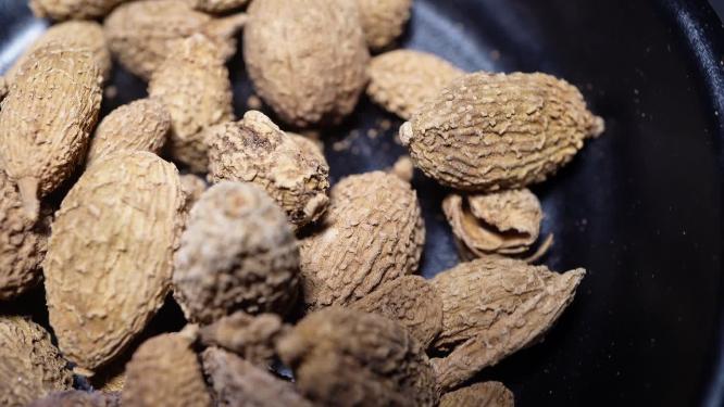 砂仁香料调料卤肉食材调味料