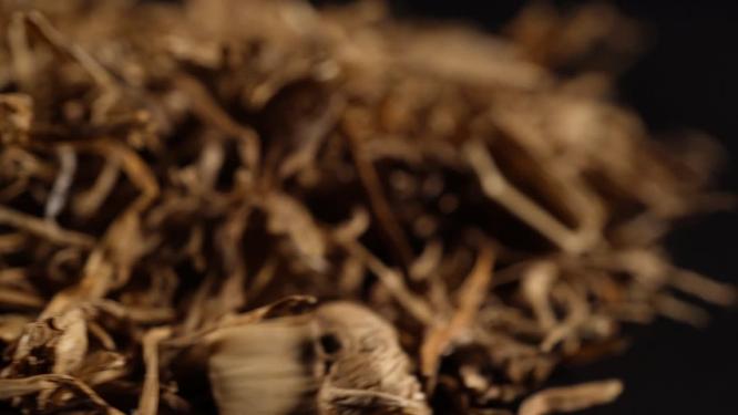 糯稻根中药中草药中医药材