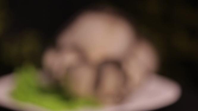 蘑菇平菇氨基酸食材