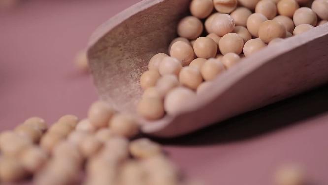豆子黄豆大豆粗粮水发黄豆