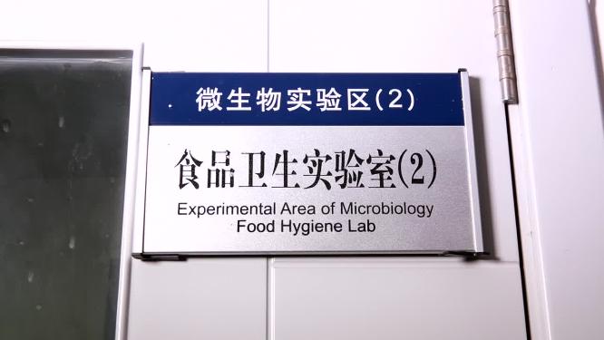 实验室检验采集细菌样本菌落培养皿