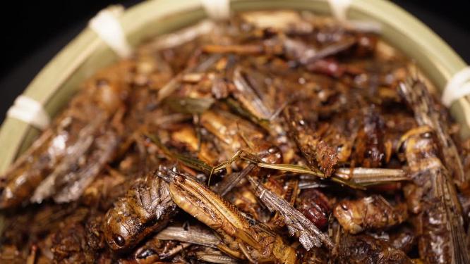 食用昆虫油炸蚂蚱蝗虫干炸蝗虫宠物饲料