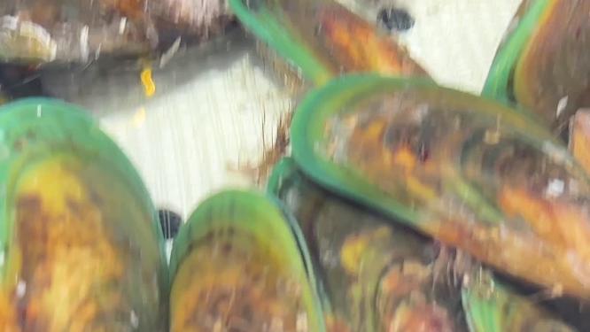 海虹贝壳蛤蜊小海鲜甲壳自助餐