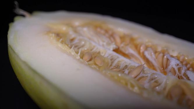 切开的东北香瓜白糖罐甜瓜精密香瓜