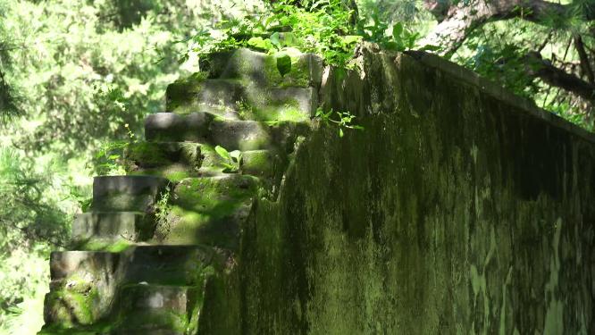 爬满青苔的古建筑神秘遗址砖墙