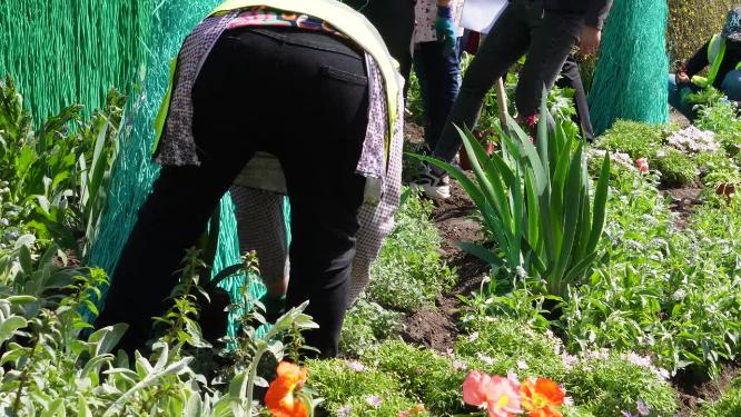 园丁环卫工人种花栽花绿化