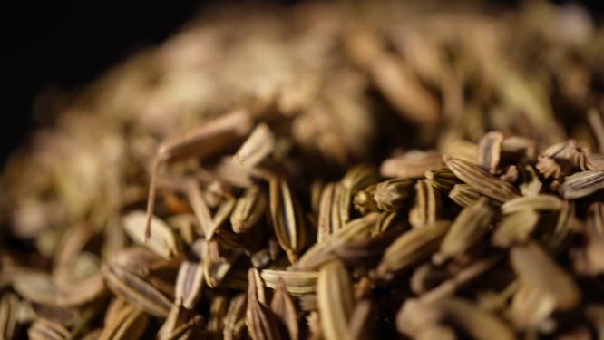 小茴香中药中草药中医药材