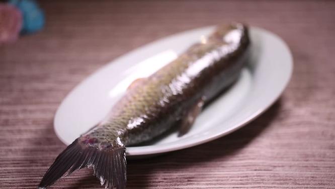 新鲜食材草鱼