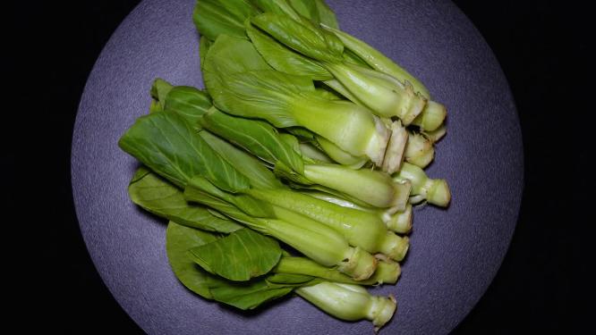 油菜菜心绿菜叶嫩叶蔬菜