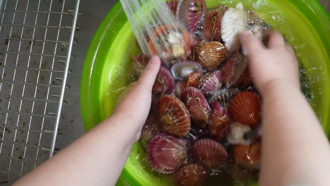 清洗挑选小红贝小扇贝小海鲜