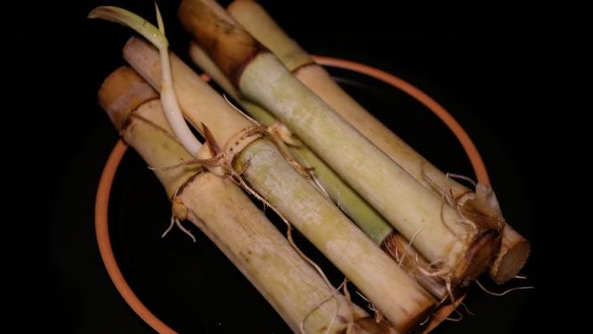甜杆新鲜甜竹食材宠物食品