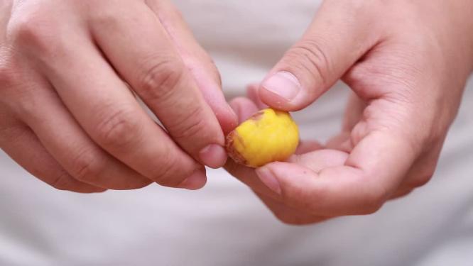 秋季栗子剥皮拨壳