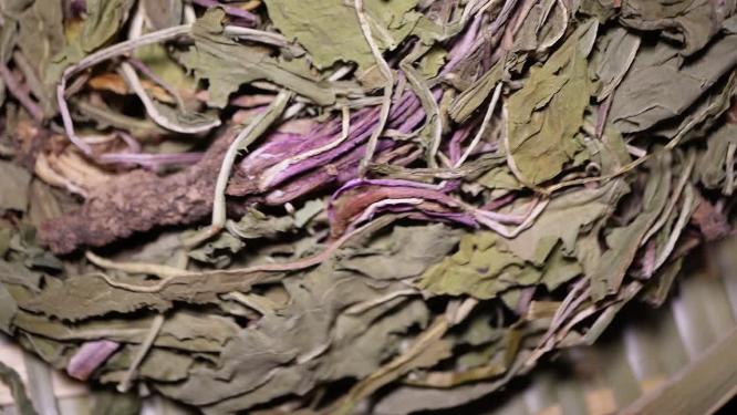 野生蒲公英根野菜干婆婆丁干中医中药药材