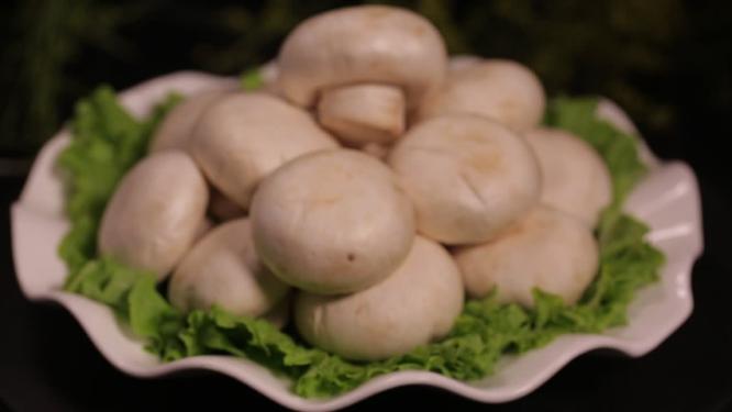 食材口蘑蘑菇