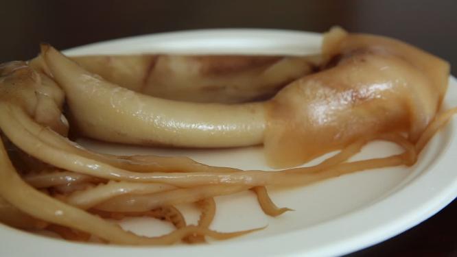 鱿鱼乌贼鱼墨斗鱼海鲜