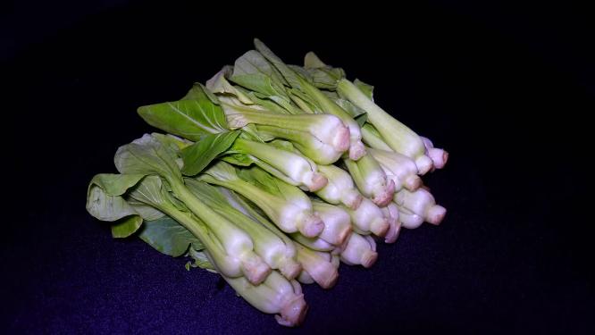 菜心菜苗蔬菜绿叶菜