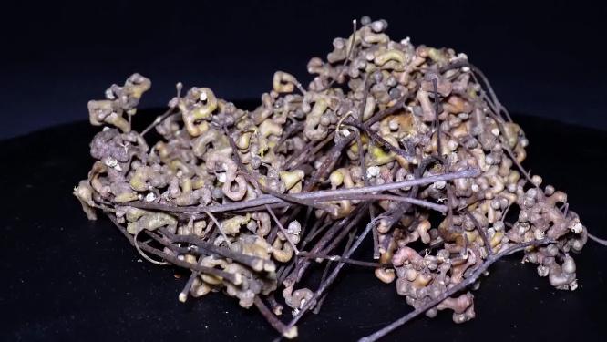 拐枣食材万寿果鸡爪梨金钩梨