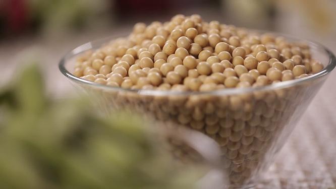黄豆毛豆两种高纤维豆类