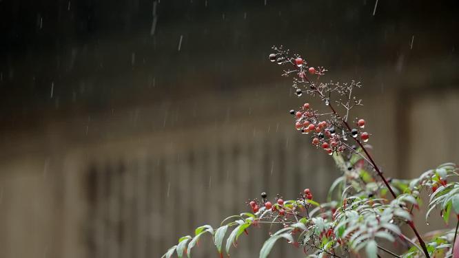烟雨江南下雨雨季情绪意境空境