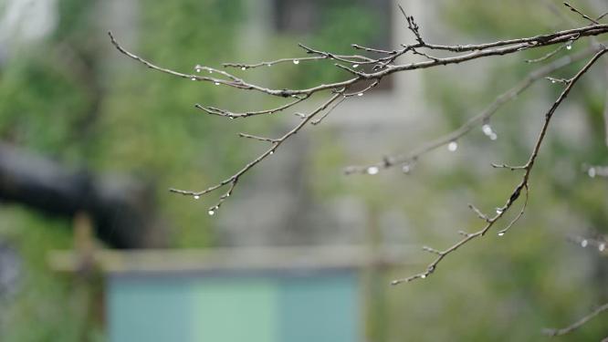 烟雨江南下雨雨季情绪意境空境