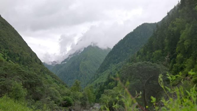川西自然风光山谷云雾雪山实拍航拍大气唯美视频