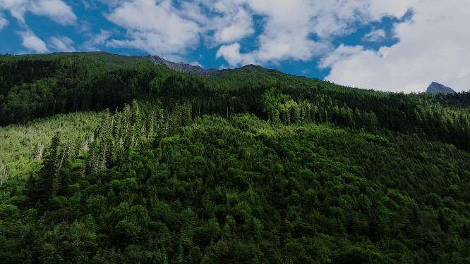 川西自然风光山谷云雾雪山实拍航拍大气唯美视频