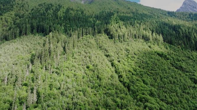 川西自然风光山谷云雾雪山实拍航拍大气唯美视频